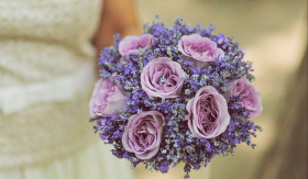 4bef8afb29c1fc12aa0c48a7dd66b256.jpg 4bef8afb29c1fc12aa0c48a7dd66b256.jpg