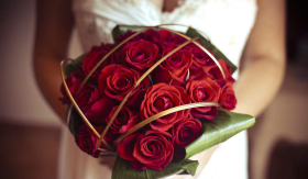 66aa0f9b4cc7812d61df6e703795fe33.jpg 66aa0f9b4cc7812d61df6e703795fe33.jpg