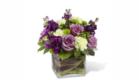 67f0c2e75989d855e8bd2858332bd7ef.jpg 67f0c2e75989d855e8bd2858332bd7ef.jpg