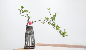 8333931cc1ec8678141d77834ffadc71.jpg 8333931cc1ec8678141d77834ffadc71.jpg